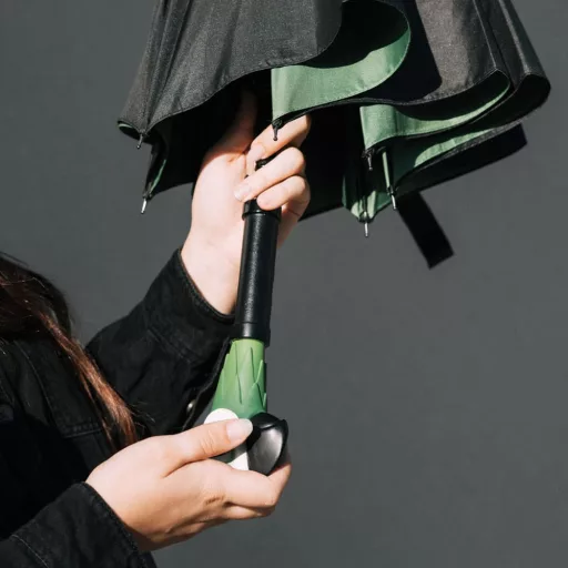 Mary Poppins Umbrella Premium