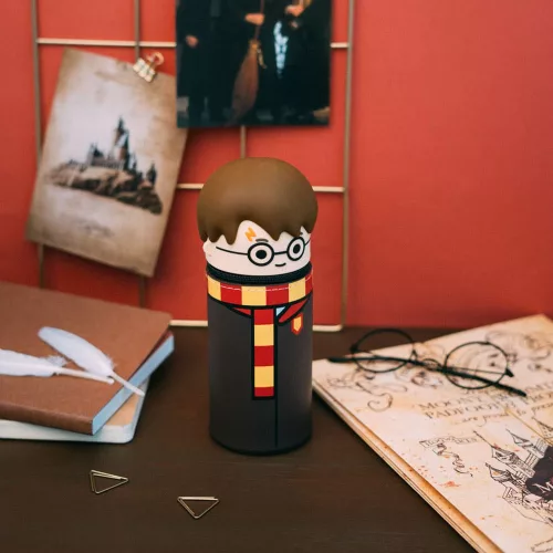 Harry Potter 3D Pencil Case Harry Potter