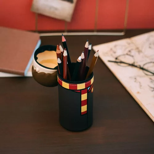 Harry Potter 3D Pencil Case Harry Potter