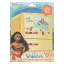 Disney Moana Magnet Set
