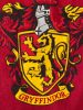 Harry Potter Towel Quidditch 150 x 75 cm