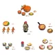 Delicious in Dungeon Nendoroid Figure Surprise Collection Monster Meals Blind Box Assortment (7)