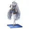 Stella Sora PVC Figure 1/7 Tyrant (Female) 23 cm