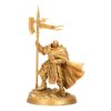 Warhammer 40.000 Miniatures Warhammer Heroes: Stormcast Eternals Display (8)