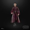 Star Wars Episode I Black Series Action Figure Padmé Amidala 15 cm - Damaged packaging