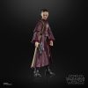 Star Wars Episode I Black Series Action Figure Padmé Amidala 15 cm - Damaged packaging