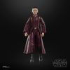 Star Wars Episode I Black Series Figura Padmé Amidala 15 cm