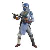 Star Wars: The Mandalorian Figura Black Series 2-Pack Mandalorian Shriek-Hawk Trainers 15 cm