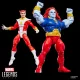 Marvel Legends Action Figure 2-Pack Marvel's Starfox & Champion of the Universe 15 cm