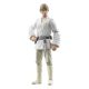 Star Wars Episode IV Vintage Collection Action Figure Luke Skywalker 10 cm