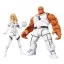 Future Foundation Marvel Legends Action Figure 2-Pack The Thing & Invisible Woman 15 cm