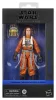 Star Wars: The Mandalorian & Grogu Black Series Action Figure Colonel Ward 15 cm