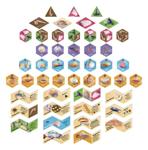 Sanibel Board Game *English Version*