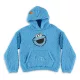 Sesame Street Teddy Hooded Sweater Cookie Monster Size S