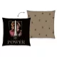 Masters of the Universe Pillow 40 x 40 cm