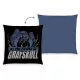 Masters of the Universe Pillow 40 x 40 cm