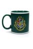 Harry Potter 3D Bögre Slytherin Crest