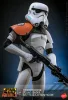 Star Wars: Rebels Action Figure 1/6 Stormtrooper Squad Leader 28 cm