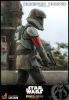 Star Wars The Mandalorian Action Figure 1/6 Transport Trooper 31 cm