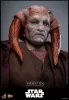 Star Wars: Episode III - Revenge of the Sith Movie Masterpiece Action Figure 1/6 Saesee Tiin 31 cm