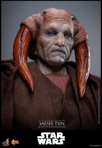 Star Wars: Episode III - Revenge of the Sith Movie Masterpiece Action Figure 1/6 Saesee Tiin 31 cm