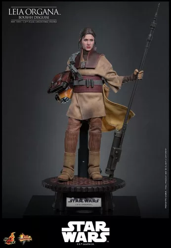Star Wars Episode VI Movie Masterpiece Action Figure 1/6 Leia Organa (Boushh Disguise) 27 cm