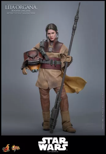 Star Wars Episode VI Movie Masterpiece Action Figure 1/6 Leia Organa (Boushh Disguise) 27 cm
