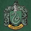 Harry Potter Wall Banner Slytherin 30 x 44 cm