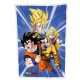 Dragon Ball Fleece Blanket Ver. 1 100 x 150 cm