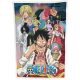 One Piece Fleece Blanket Ver. 4 100 x 150 cm