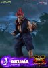 Street Fighter V: Champion Edition Action Figure 1/6 Akuma 30 cm