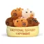 Relatable Emotional Support Plush Figure Capybaras