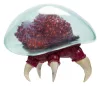 World of Nintendo Metroid Prime Actionfigure Metroid Ultraviolet Glow 15 cm