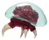 World of Nintendo Metroid Prime Actionfigure Metroid Ultraviolet Glow 15 cm