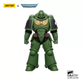 Warhammer 40,000 Action Figure Salamanders Intercessor 12 cm