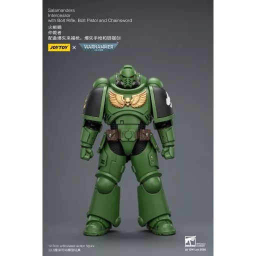 Warhammer 40,000 Action Figure Salamanders Intercessor 12 cm
