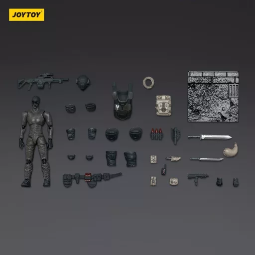 Dark Source Action Figure Steel Ride Corps Assaulter Echo 8 cm