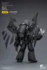 Warhammer 40,000 Action Figure Raven Guard Dark Fury 12 cm