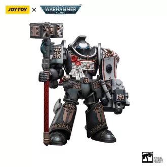   Warhammer 40k Action Figure 1/18 Grey Knights Terminator Caddon Vibova 13 cm