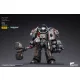 Warhammer 40k Action Figure 1/18 Grey Knights Terminator Caddon Vibova 13 cm