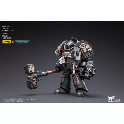 Warhammer 40k Action Figure 1/18 Grey Knights Terminator Caddon Vibova 13 cm