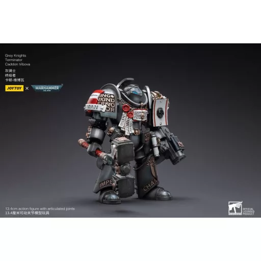 Warhammer 40k Action Figure 1/18 Grey Knights Terminator Caddon Vibova 13 cm