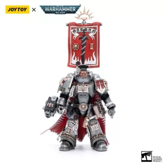   Warhammer 40k Action Figure 1/18 Grey Knights Castellan Crowe 12 cm
