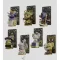 Wild Magic Tarot Mini Figures S2 8 cm Blind Box Display (6)