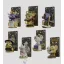 Wild Magic Tarot Mini Figures S2 8 cm Blind Box Display (6)