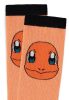 Pokémon Knee High Zokni Charmander 39-42