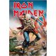 Iron Maiden Tin Sign Trooper 20 x 30 cm