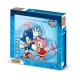 Sonic & Amy Diary Gift Box