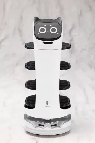 Pudu Robotics Grande ScalePlastic Model Kit BellaBot 19 cm