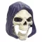 Masters of the Universe 2026 Movie Chronicles Roleplay Replica Skeletor's Mask *German Version*